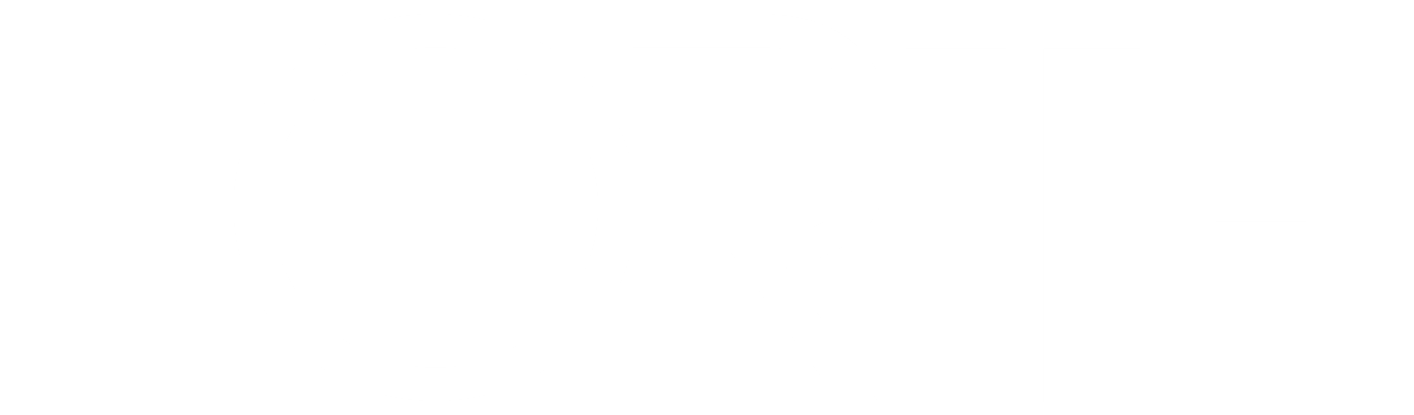 Forte Security